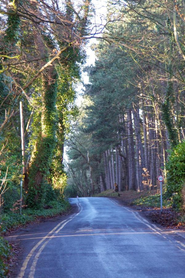 Formby Pinewood Studio Bed & Breakfast Dış mekan fotoğraf